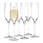 Holmegaard Cabernet verre de champagne 29cl 6-pack