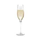 Holmegaard Cabernet Champagne Glass 29cl