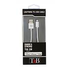 T'nB USB A - Lightning 1m