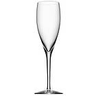 Orrefors More Champagneglass 18cl 2-pack