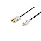 Ednet Premium USB A - Lightning 1m