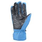 Salomon Force Dry Glove (Herre)