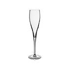 Luigi Bormioli Vinoteque Perlage Champagne Glass 18cl 6-pack