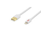 Ednet USB A - Lightning 3m