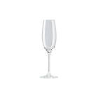 Rosenthal Selection DiVino Champagneglass 22cl