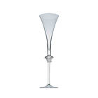 Rosenthal Versace Medusa Luminere Champagne Glass 19cl