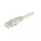 Dexlan CCA UTP Cat6 RJ45 - RJ45 0,3m