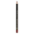 ASTRA Make Up Professional Lip Pencil 1.1g