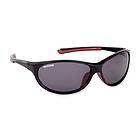 Shimano Catana BX Polarized