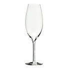 Reijmyre Glasbruk Juhlin Champagneglas 33cl