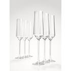 Table Top Stories Celebration Champagneglass 19cl 6-pack