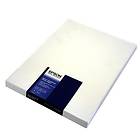 Epson Traditional Photo Paper 330g A2 25stk