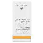 Dr. Hauschka Regenerating Night Conditioner 10x1ml