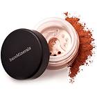 bareMinerals All Over Face Color 2g