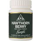 Bio-Health Hawthorn Berry 450mg 60 Capsules