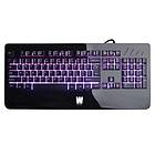 WASDkeys K300 (EN)