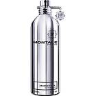 Montale Paris Jasmine Full edp 100ml