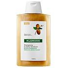 Klorane Nourishing & Repairing Shampoo 400ml