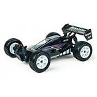 Team Associated Reflex Buggy RTR