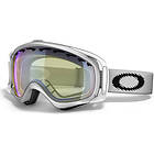 Oakley Crowbar Snow