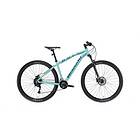 Bianchi Duel 29s