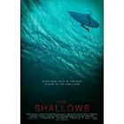 The Shallows (DVD)