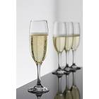 Aida Cafe Champagneglass 22cl 4-pack