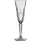 RCR Crystal Melodia Champagne Glass 16cl 6-pack