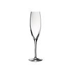 Bohemia Crystal Glass Penelopé Champagneglas 17cl