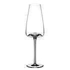 Zieher Vision Rich Spritglass 28cl 2-pack