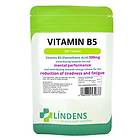 Lindens Vitamin B5 (Pantothenic Acid) 500mg 360 Tablets
