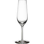 Orrefors Morberg Collection Champagne Glass 24cl 4-pack