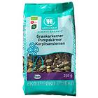 Urtekram Pumpakärnor Øko 250g