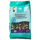 Urtekram Pumpakärnor Eko 250g