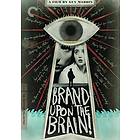 Brand upon the Brain! - Criterion Collection (US) (DVD)