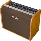 Fender Acoustic 100