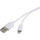 Renkforce USB A (reversible) - Lightning 1m