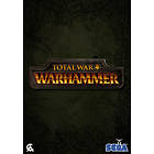 Total War: Warhammer: Chaos Warriors Race Pack (Expansion) (PC)