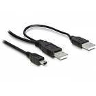 DeLock 2x USB A - USB Mini-B 2.0 1m