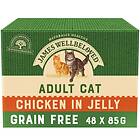 James Wellbeloved Cat Pouches Adult Multipack 48x0.085kg