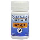 Schuessler Tissue Salts Nat Mur 9 125 Tablets