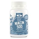 Healthwell Niacin 500 100 Tabletit