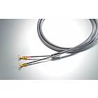 Siltech Explorer 180L 2Banana - 2Banana (par) 1,75m