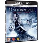 Underworld: Blood Wars (UHD+BD)