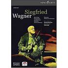 Wagner: Siegfried (DVD)