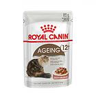 Royal Canin FHN Ageing +12 Jelly 96x0,085kg