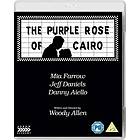 Purple Rose of Cairo (UK) (Blu-ray)