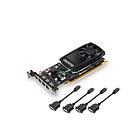 PNY Quadro P600 DVI 4xDP 2GB