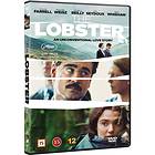 The Lobster (DVD)