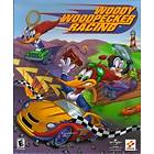 Woody Woodpecker Racing (PC)